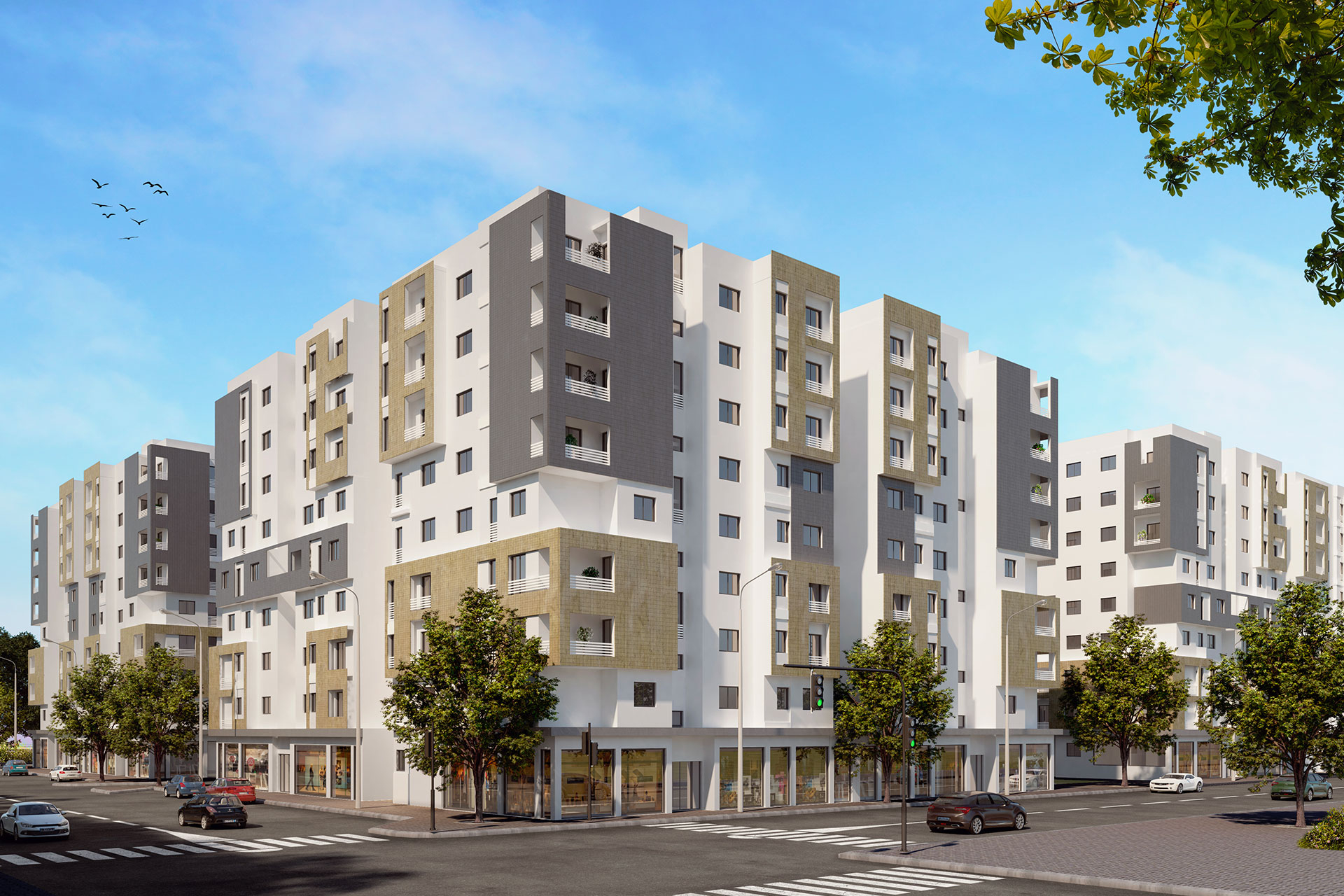 LA CITE DOUANE