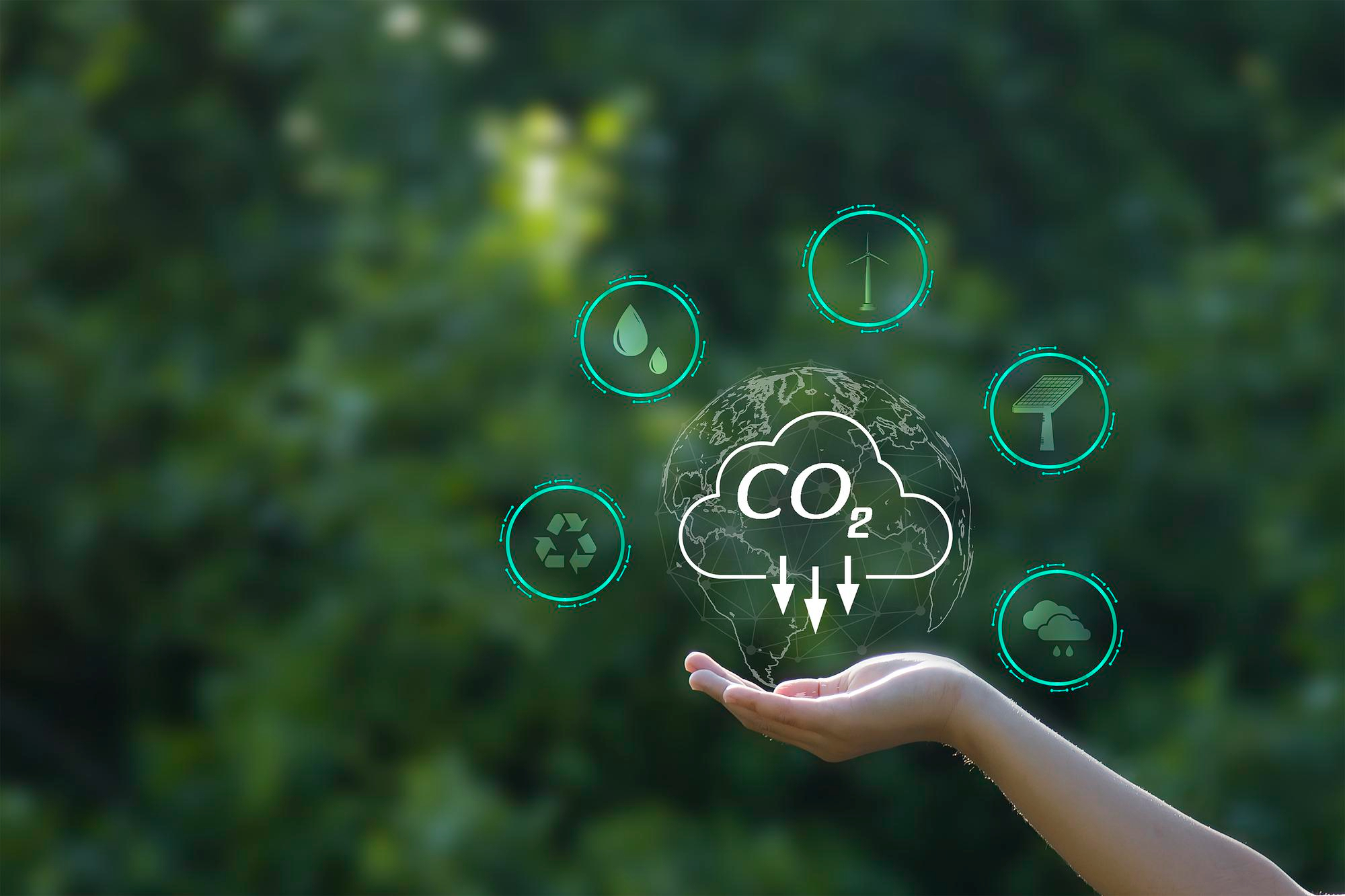 An Ambitious Roadmap for Decarbonization